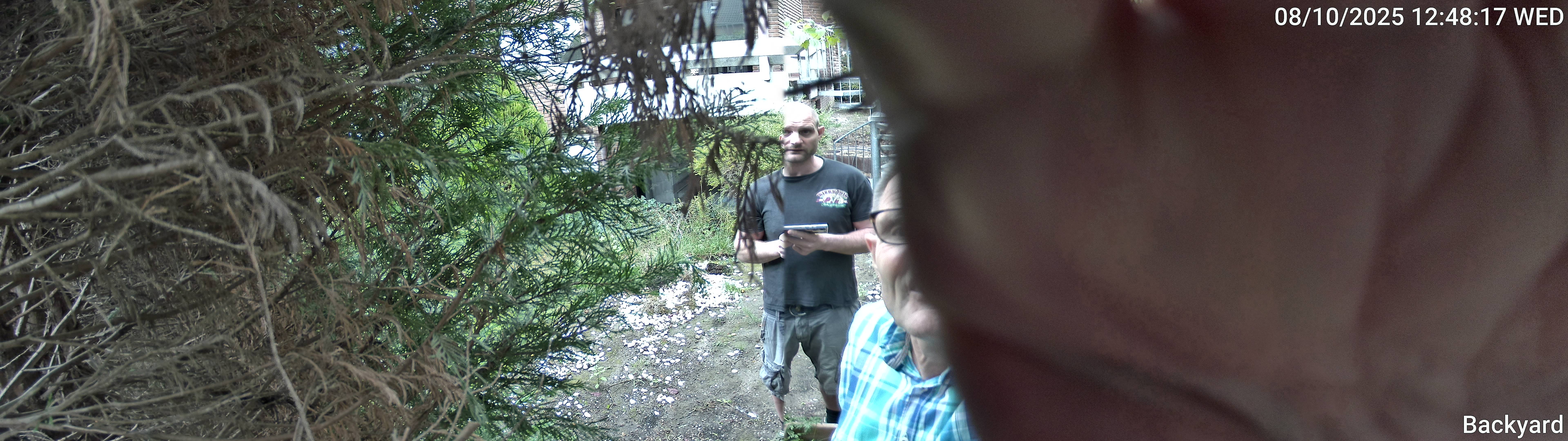Backyard_00_20251008124817.jpg