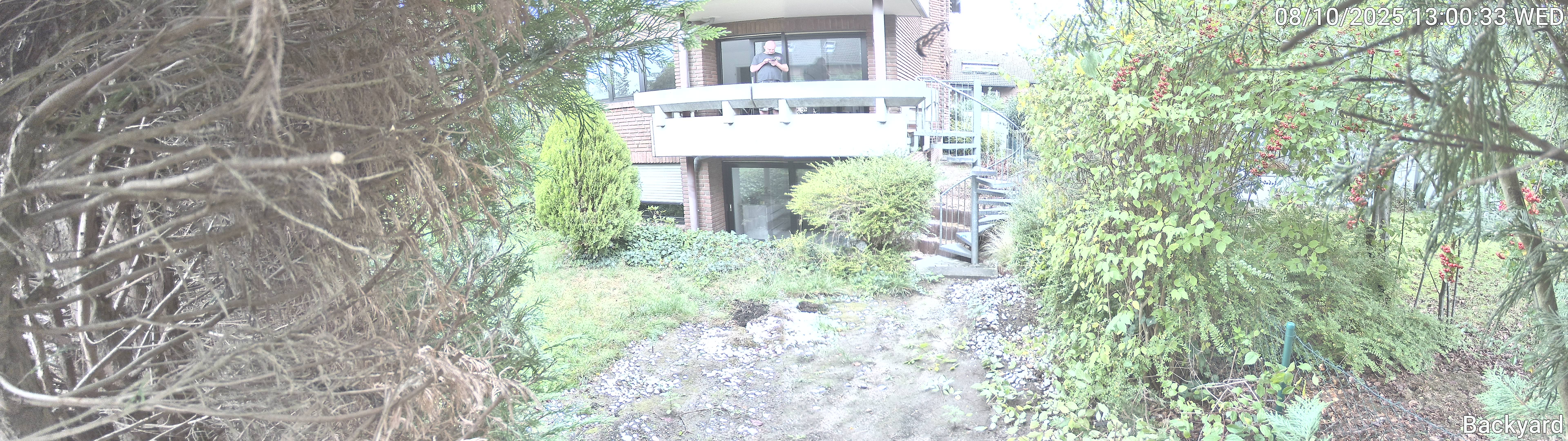 Backyard_00_20251008130033.jpg