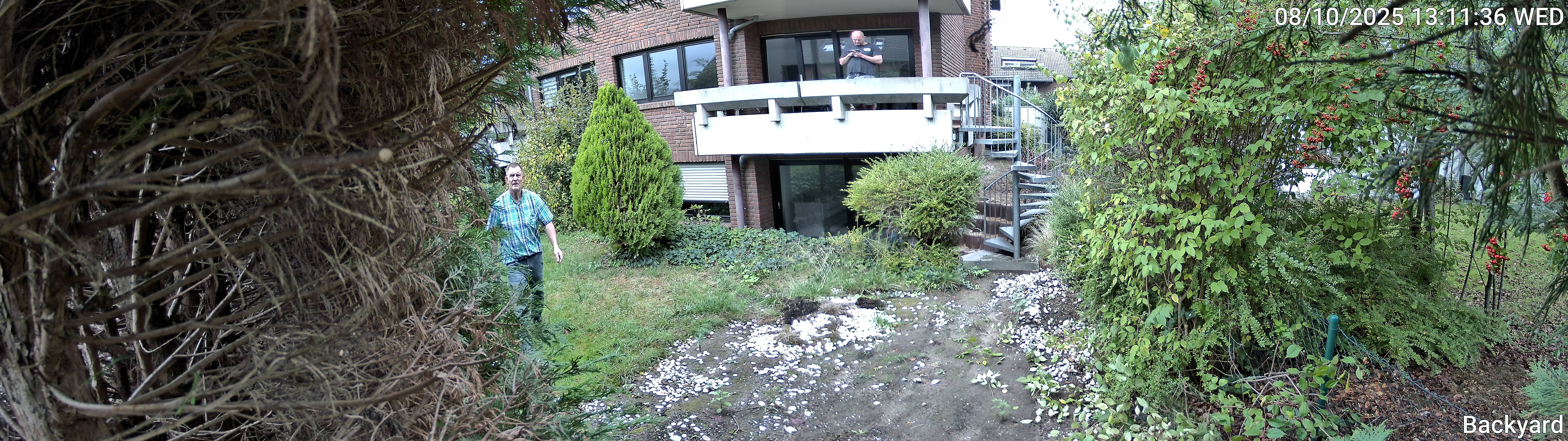 Backyard_00_20251008131136.jpg