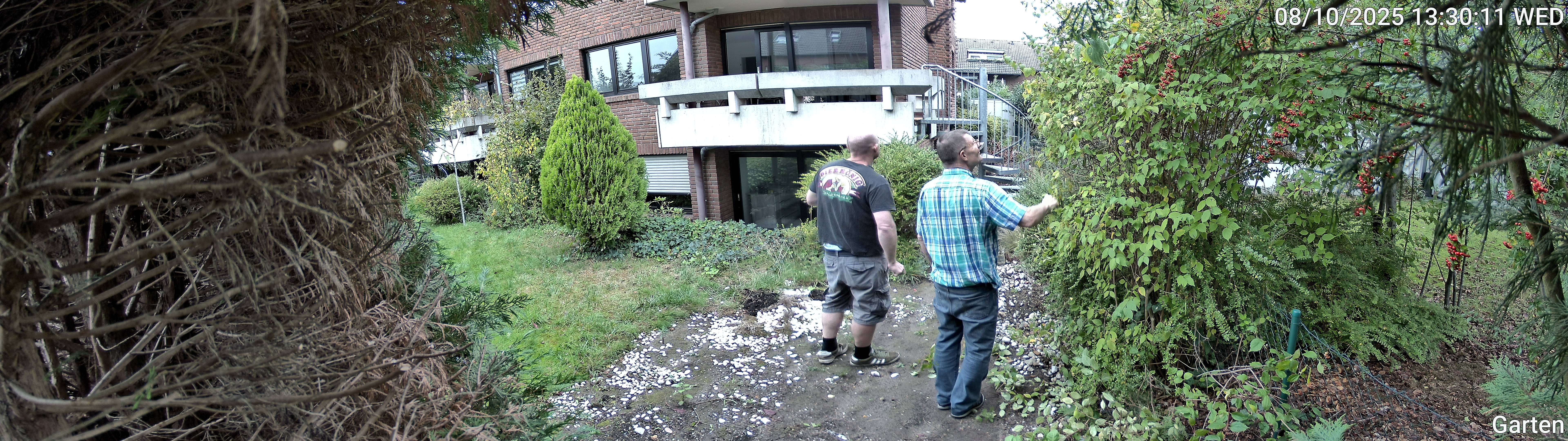 Garten_00_20251008133011.jpg