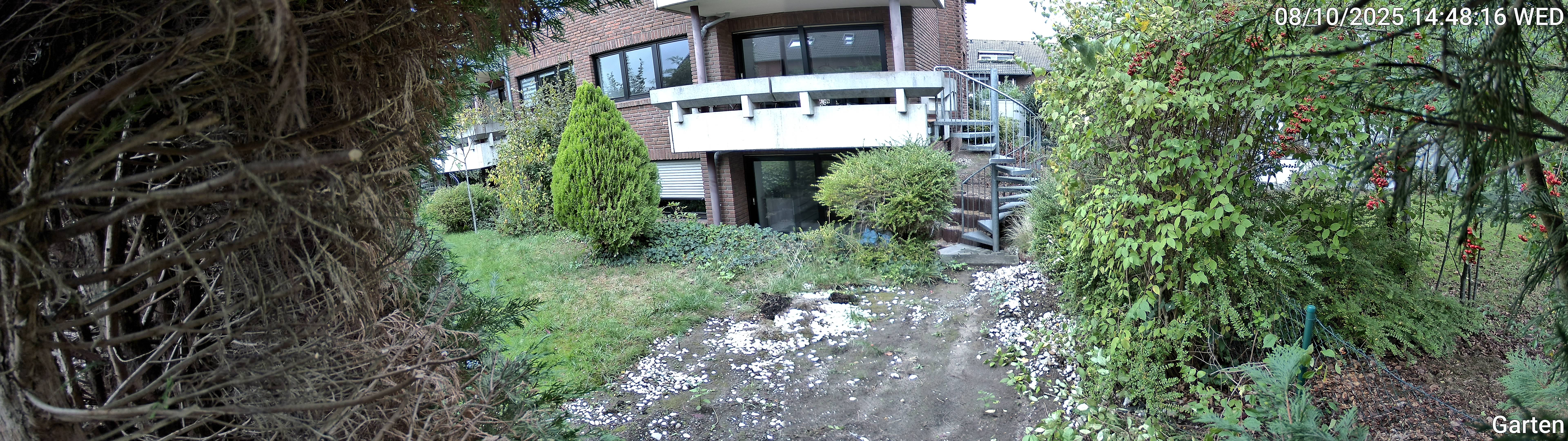 Garten_00_20251008144816.jpg