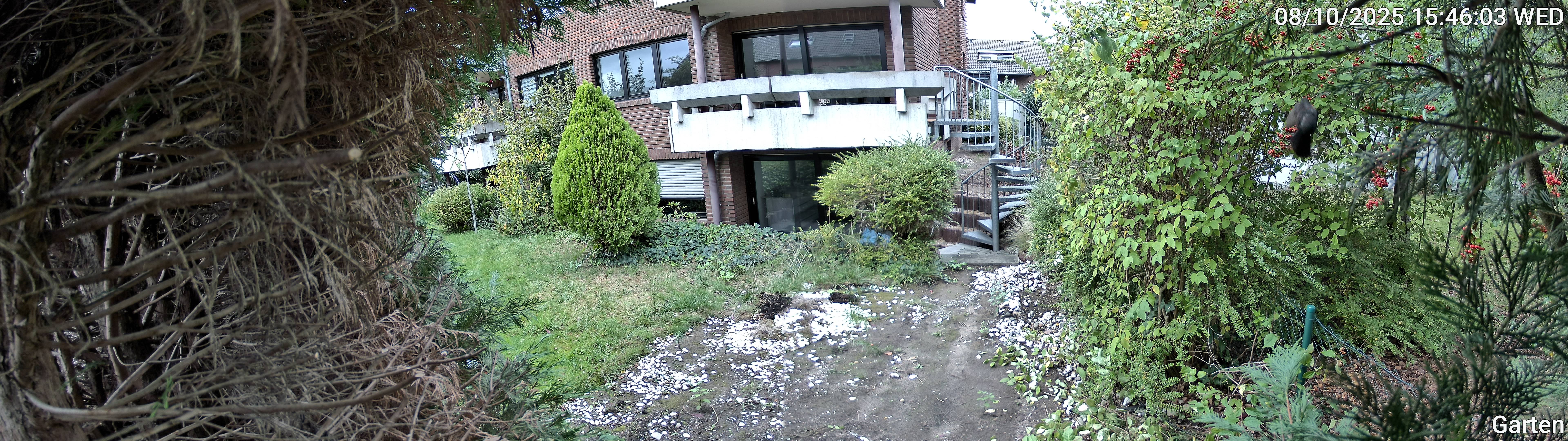 Garten_00_20251008154603.jpg