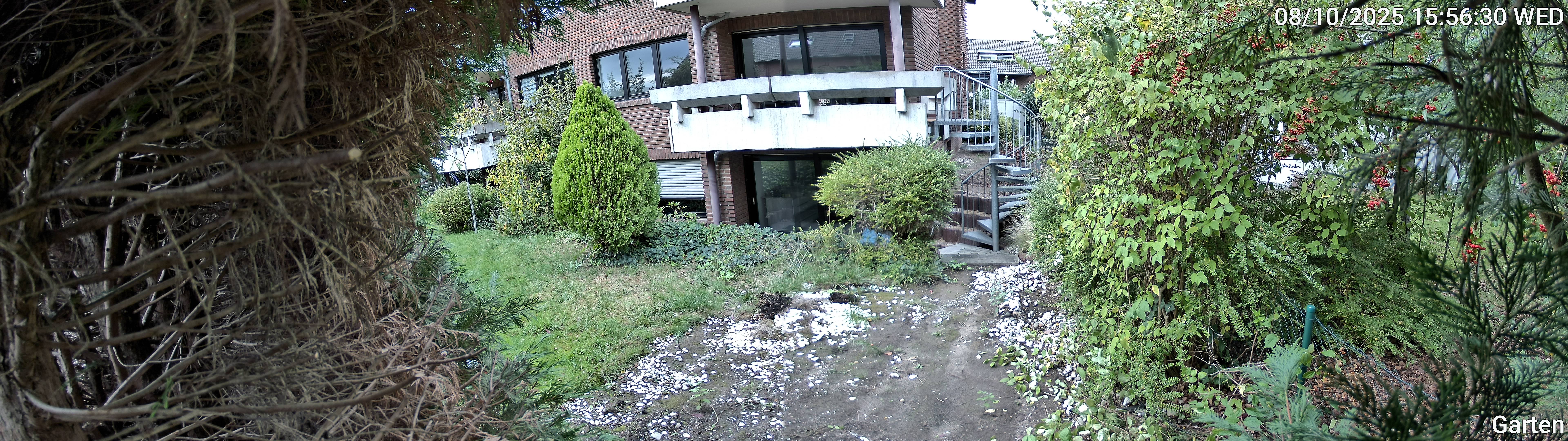 Garten_00_20251008155630.jpg
