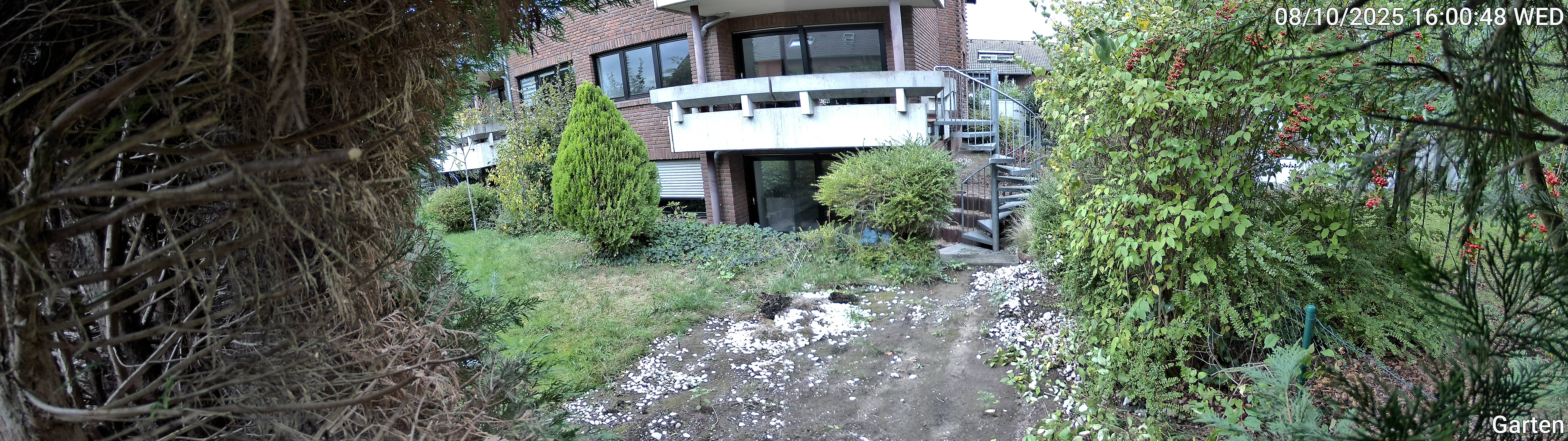 Garten_00_20251008160048.jpg