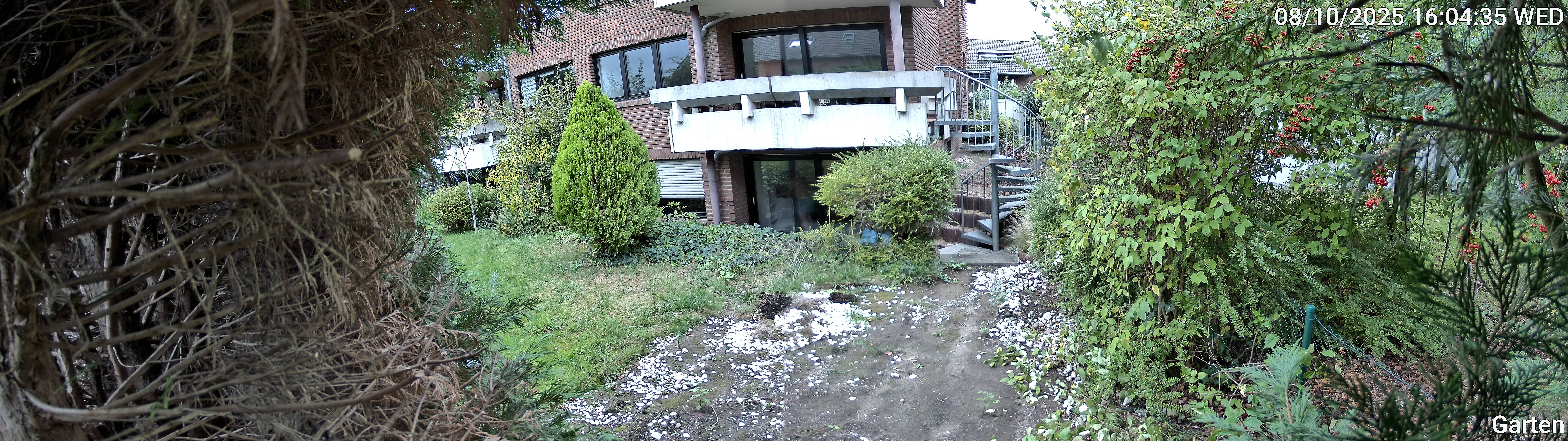Garten_00_20251008160435.jpg