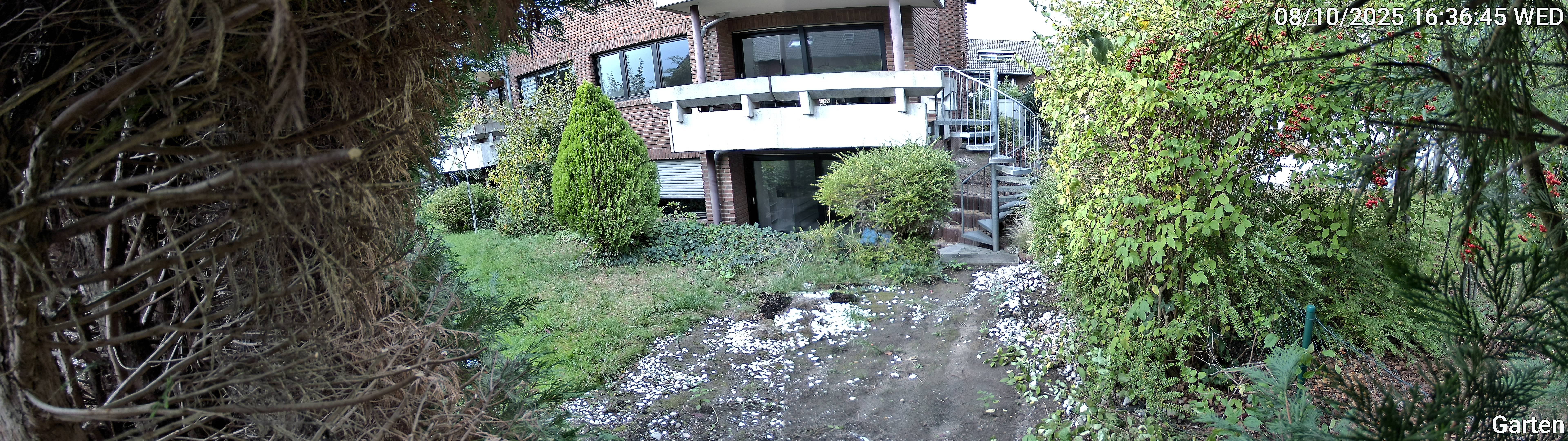 Garten_00_20251008163645.jpg