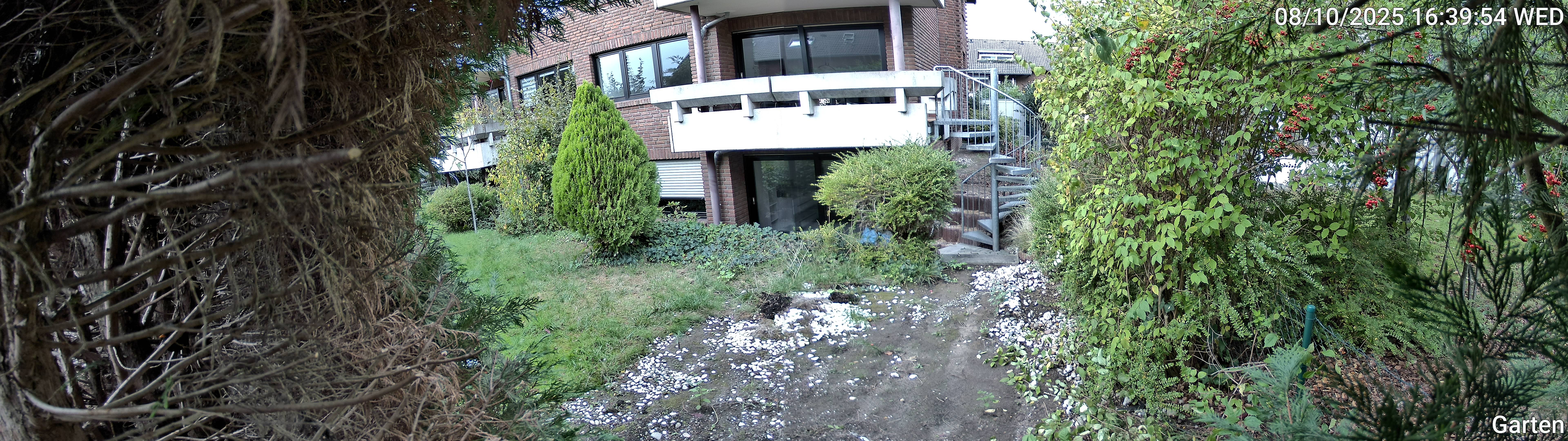 Garten_00_20251008163954.jpg