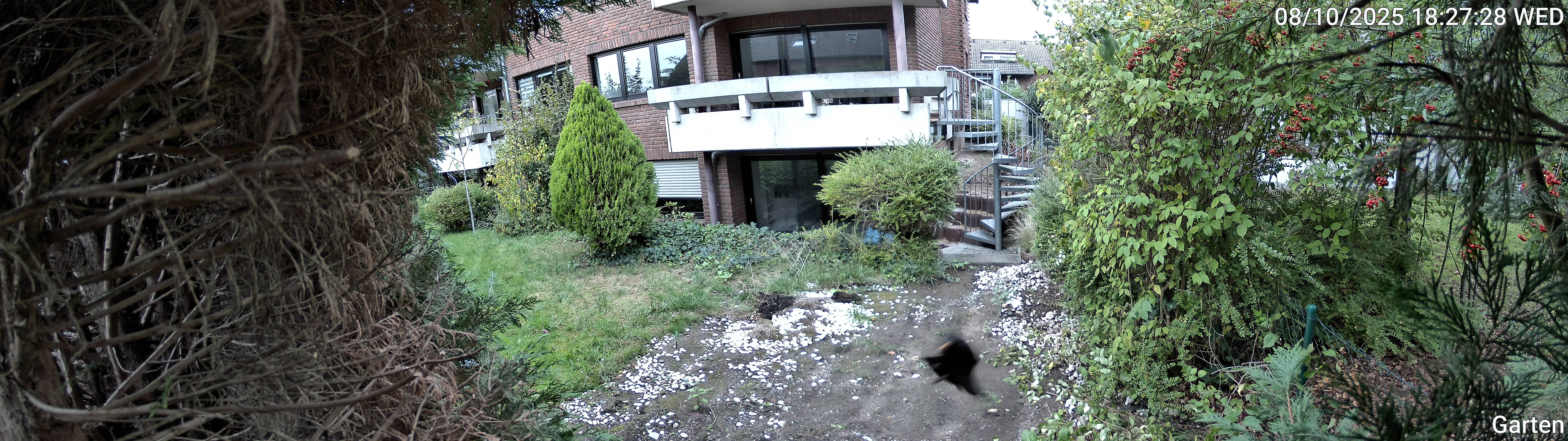 Garten_00_20251008182728.jpg