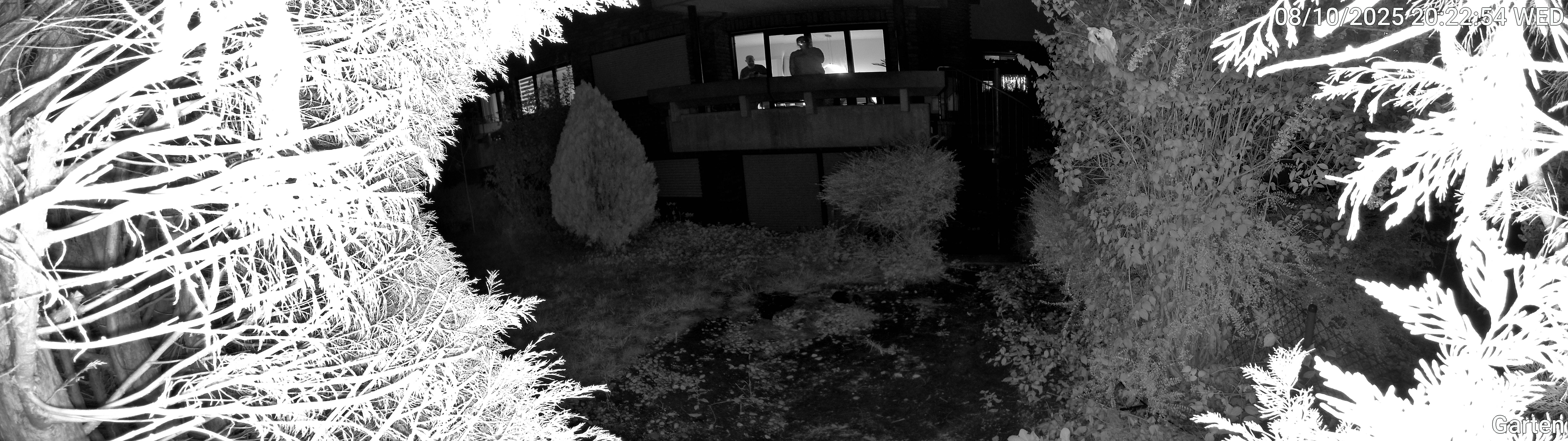 Garten_00_20251008202254.jpg
