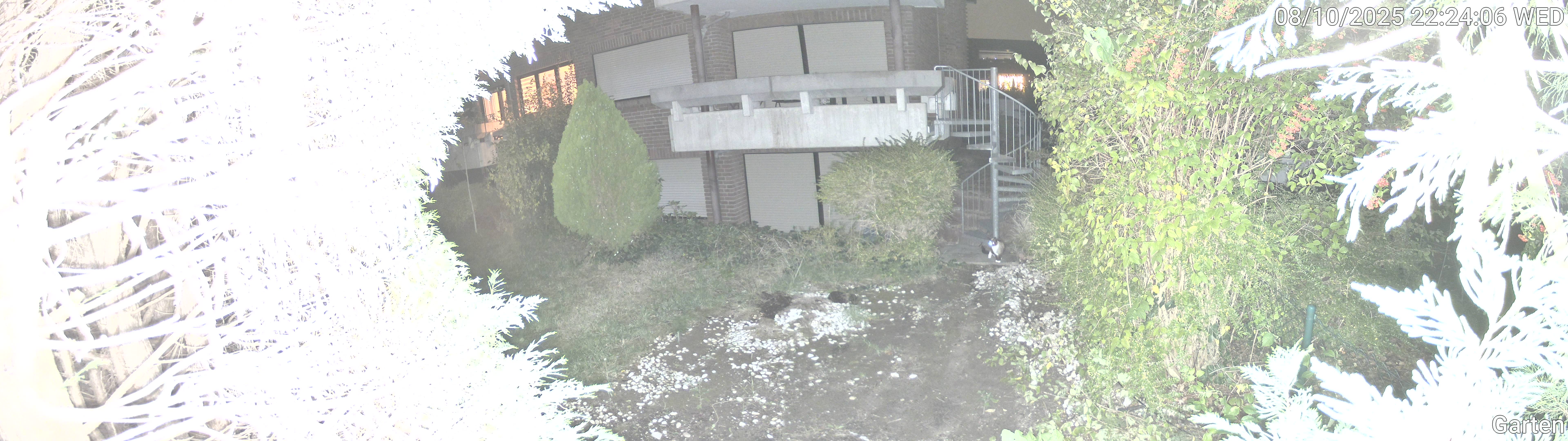 Garten_00_20251008222406.jpg