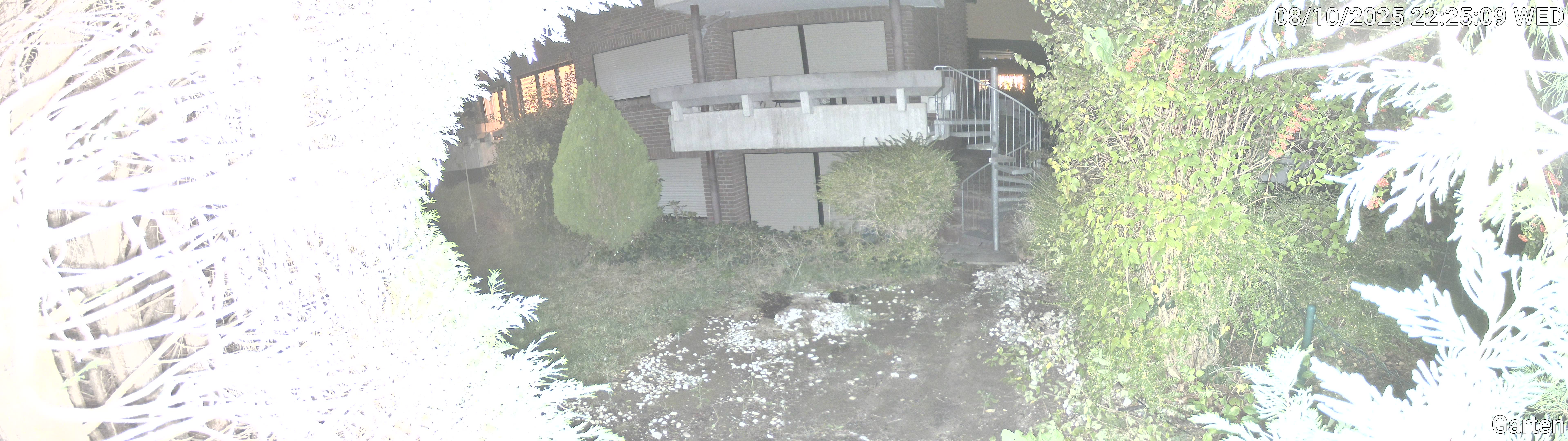 Garten_00_20251008222509.jpg