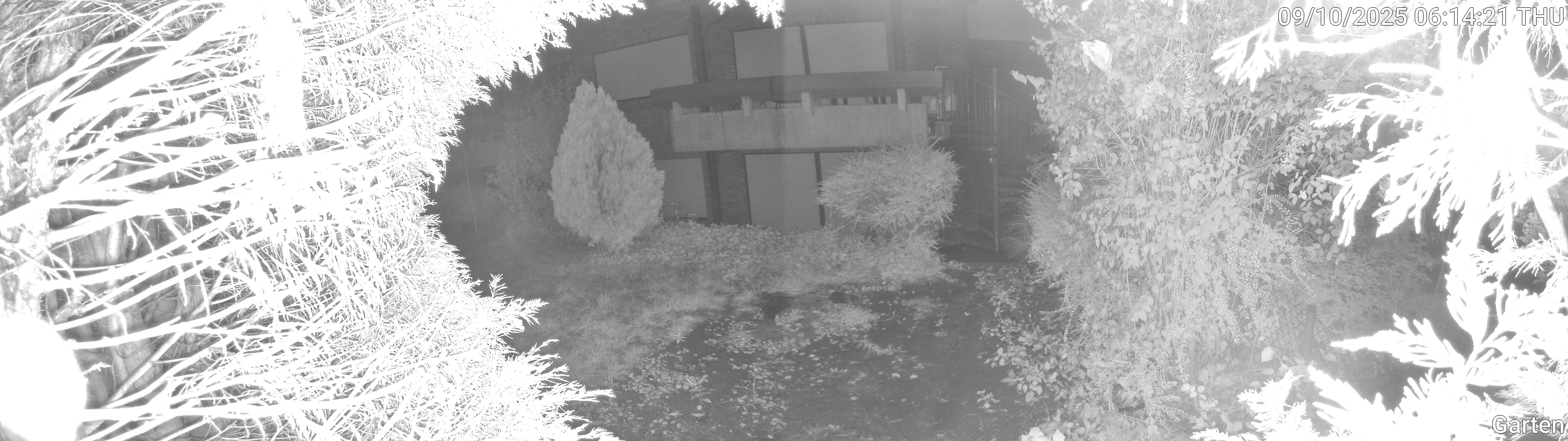 Garten_00_20251009061421.jpg
