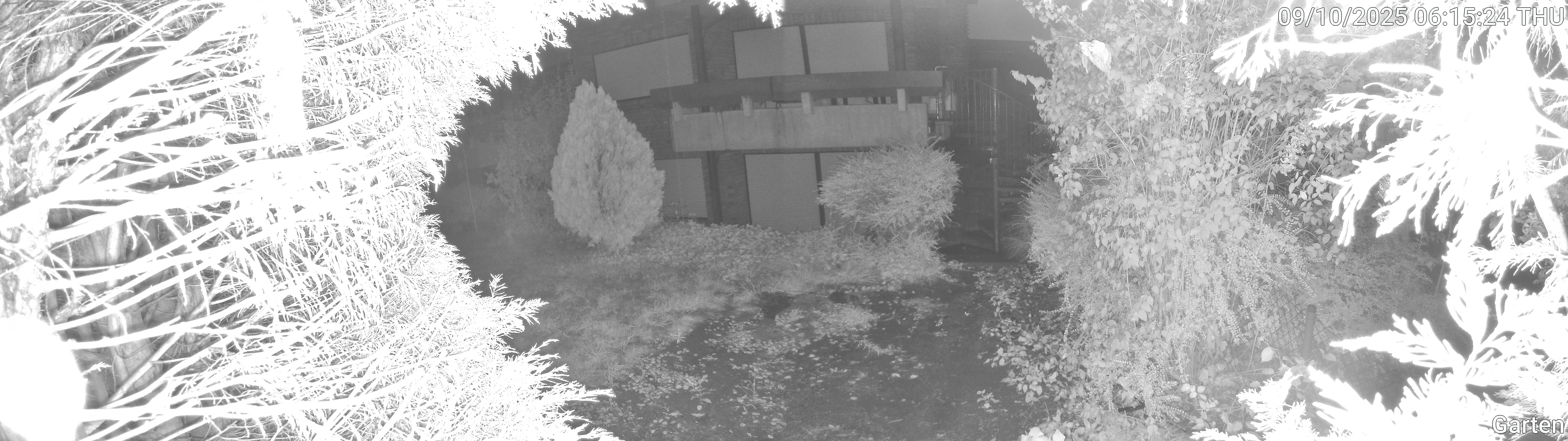 Garten_00_20251009061524.jpg