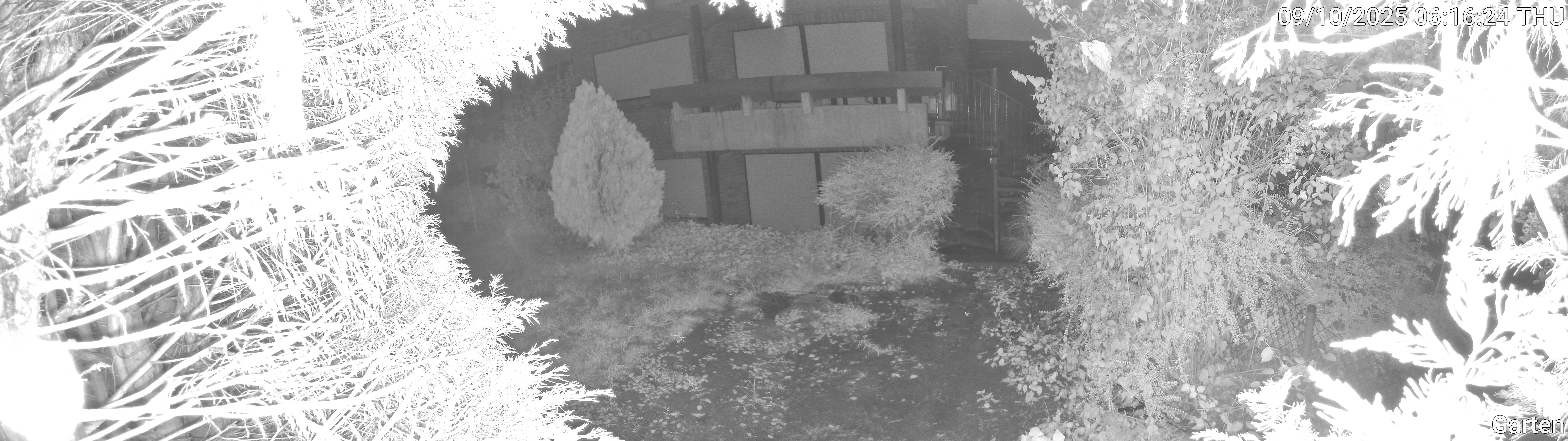 Garten_00_20251009061625.jpg
