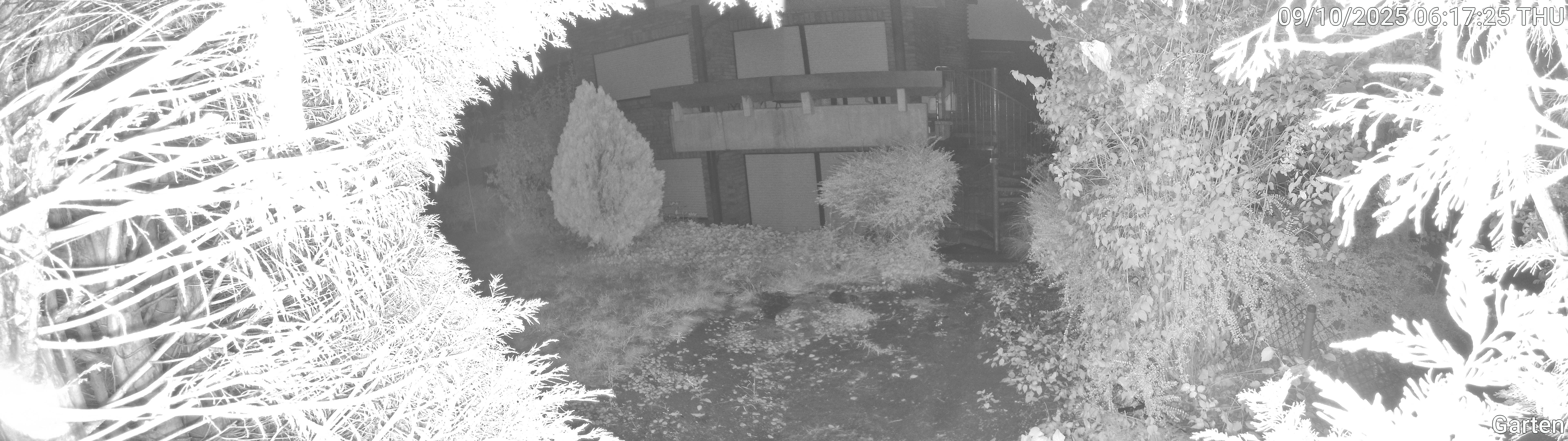 Garten_00_20251009061725.jpg