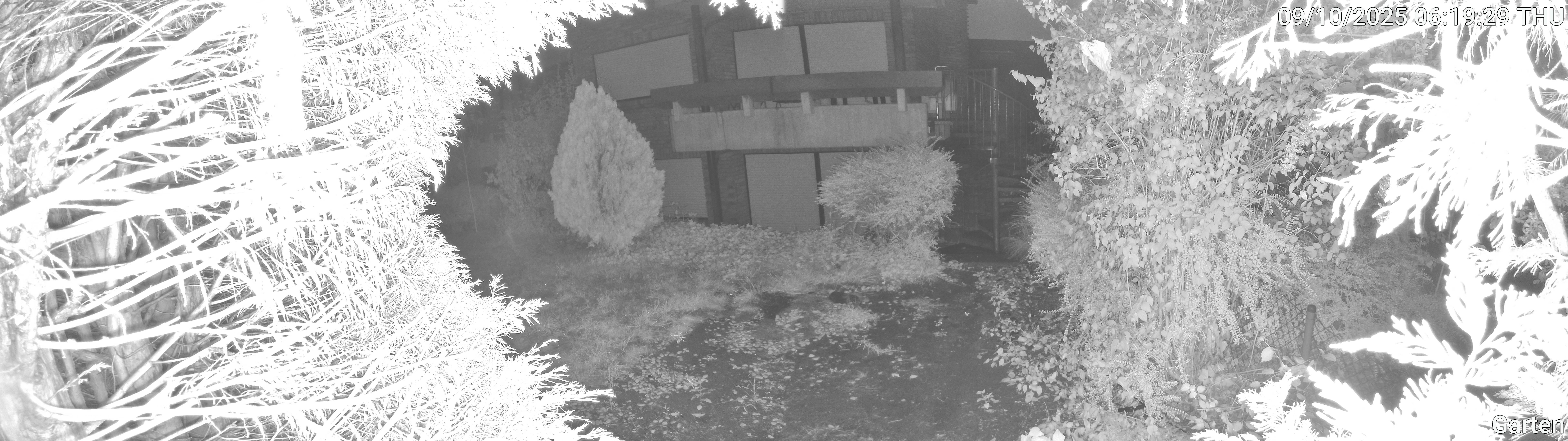 Garten_00_20251009061929.jpg