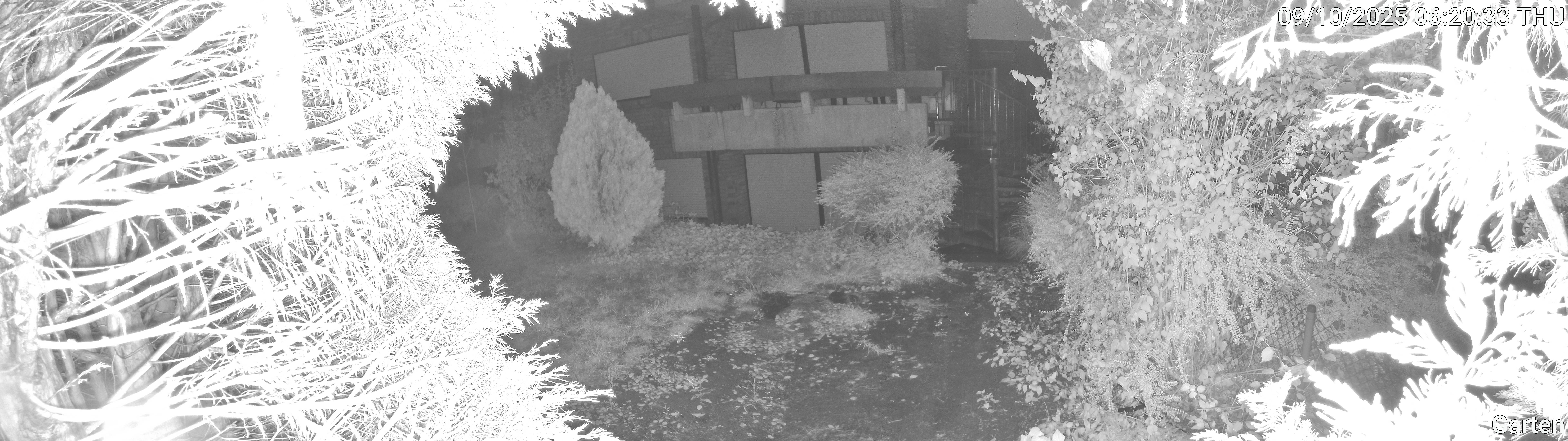 Garten_00_20251009062034.jpg
