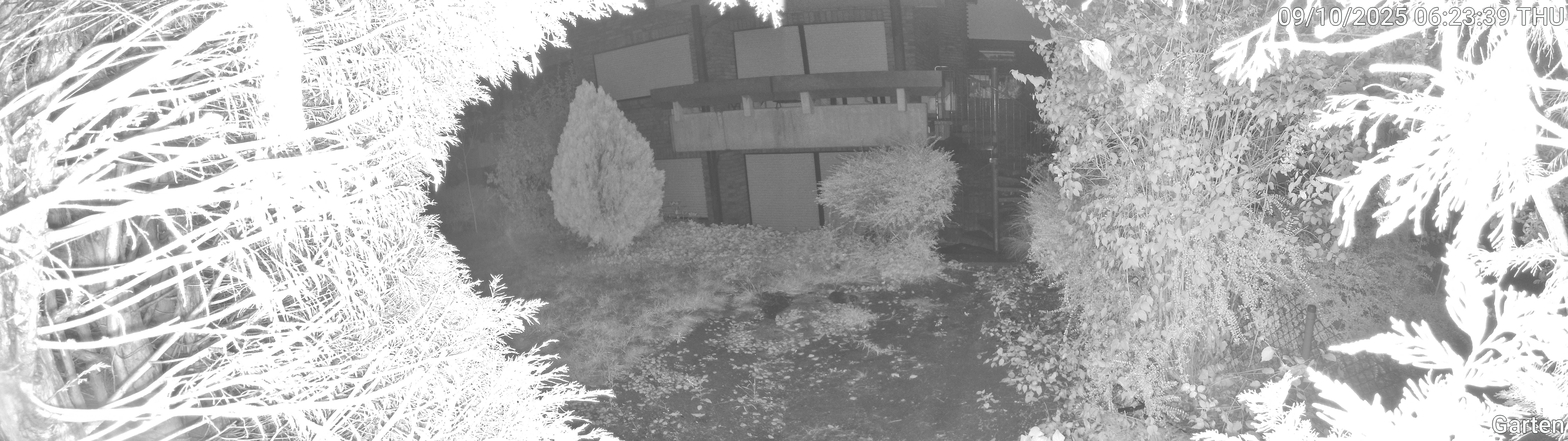 Garten_00_20251009062340.jpg