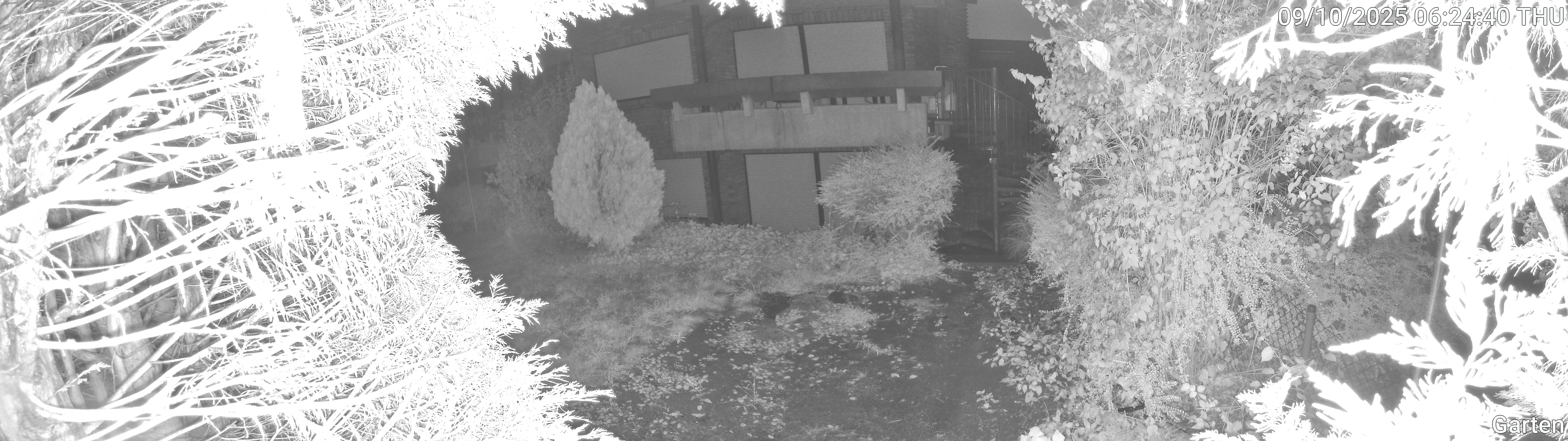 Garten_00_20251009062440.jpg