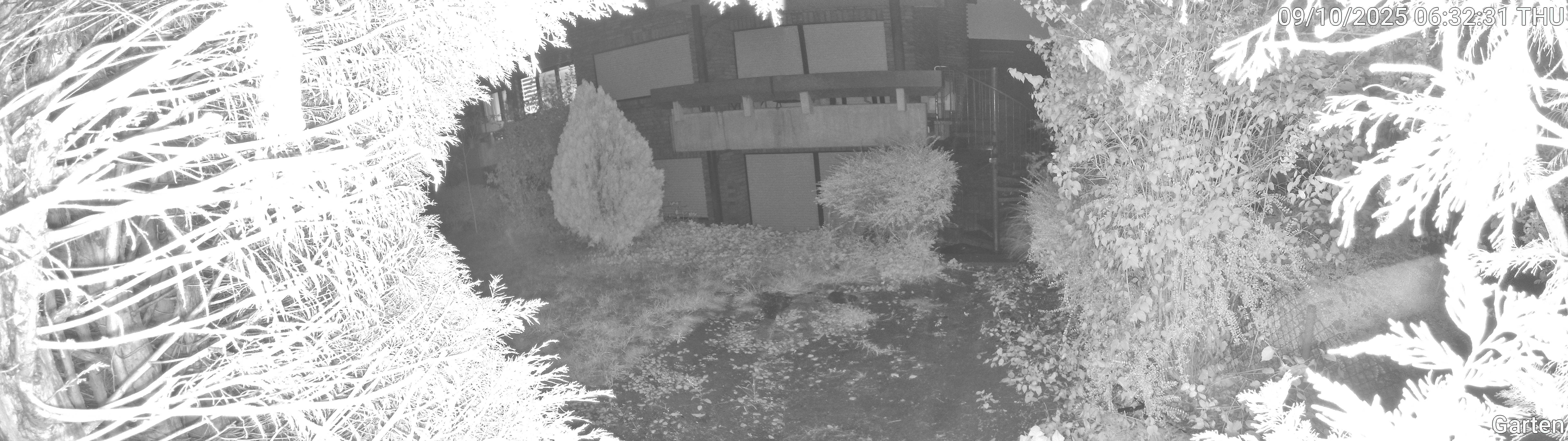 Garten_00_20251009063231.jpg