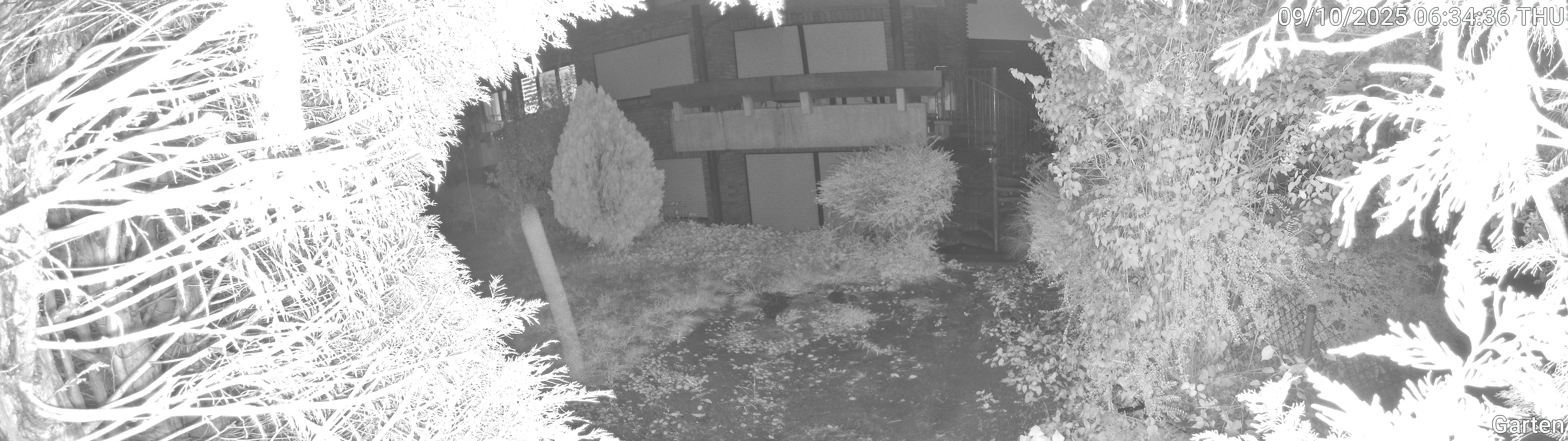 Garten_00_20251009063436.jpg