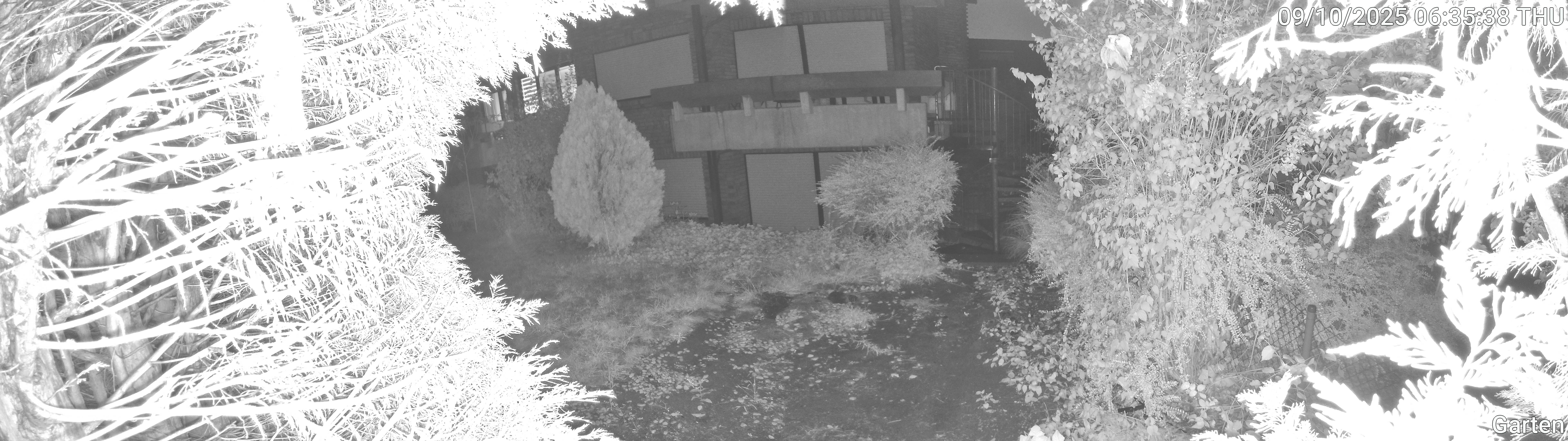 Garten_00_20251009063538.jpg