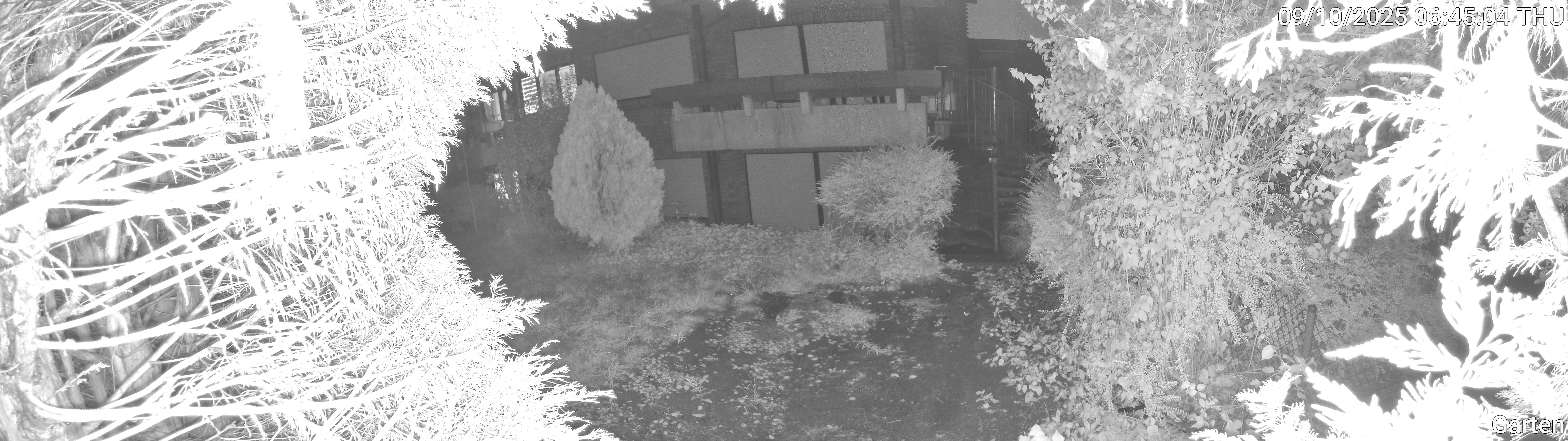 Garten_00_20251009064504.jpg