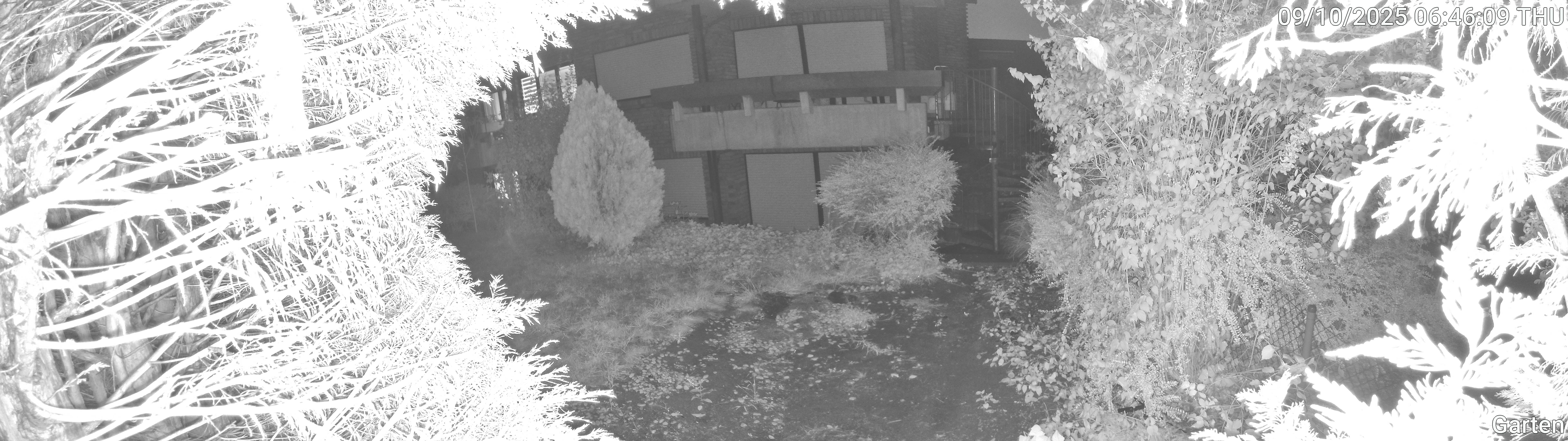 Garten_00_20251009064610.jpg