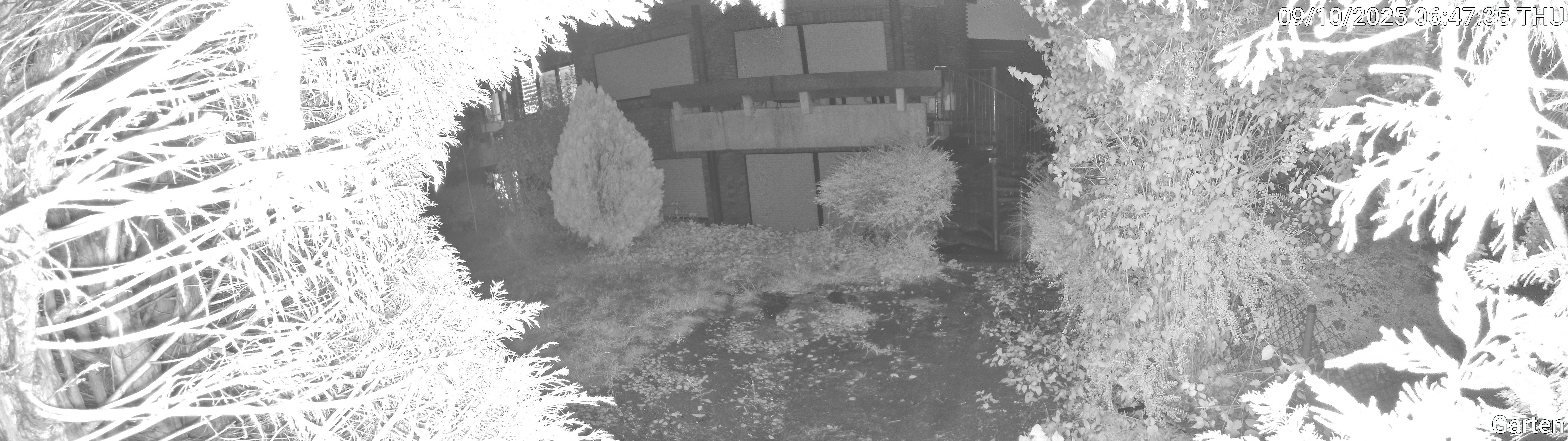 Garten_00_20251009064736.jpg