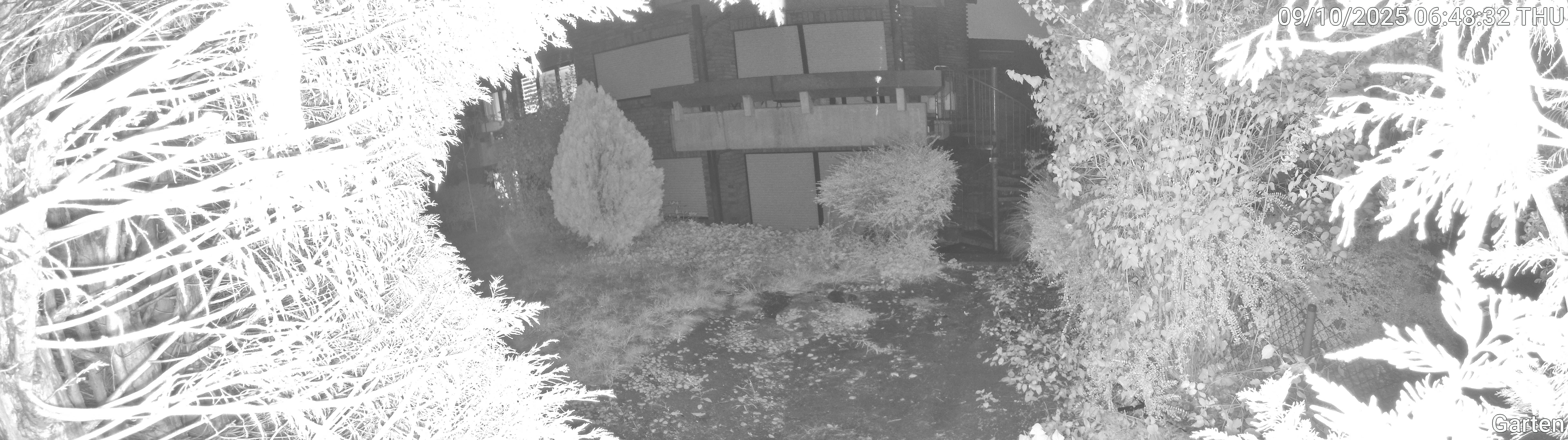 Garten_00_20251009064832.jpg