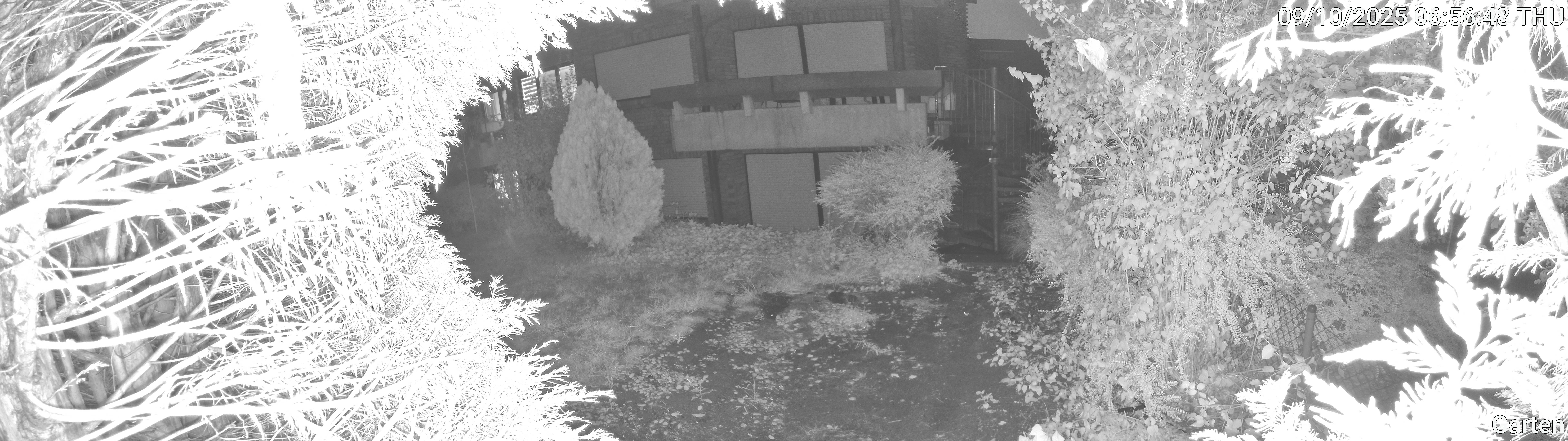 Garten_00_20251009065648.jpg