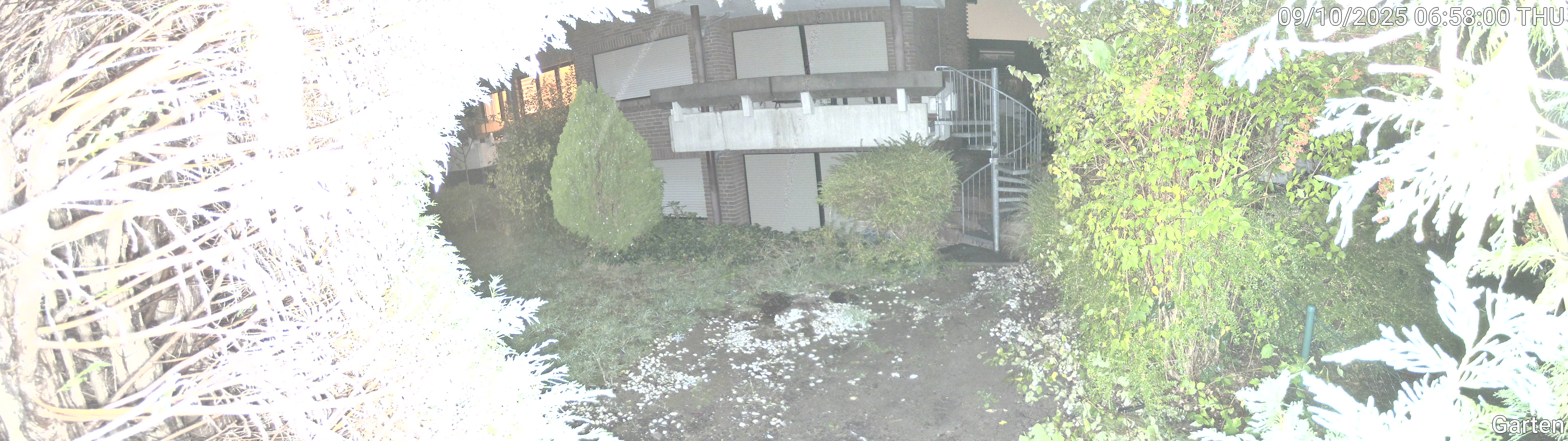 Garten_00_20251009065800.jpg