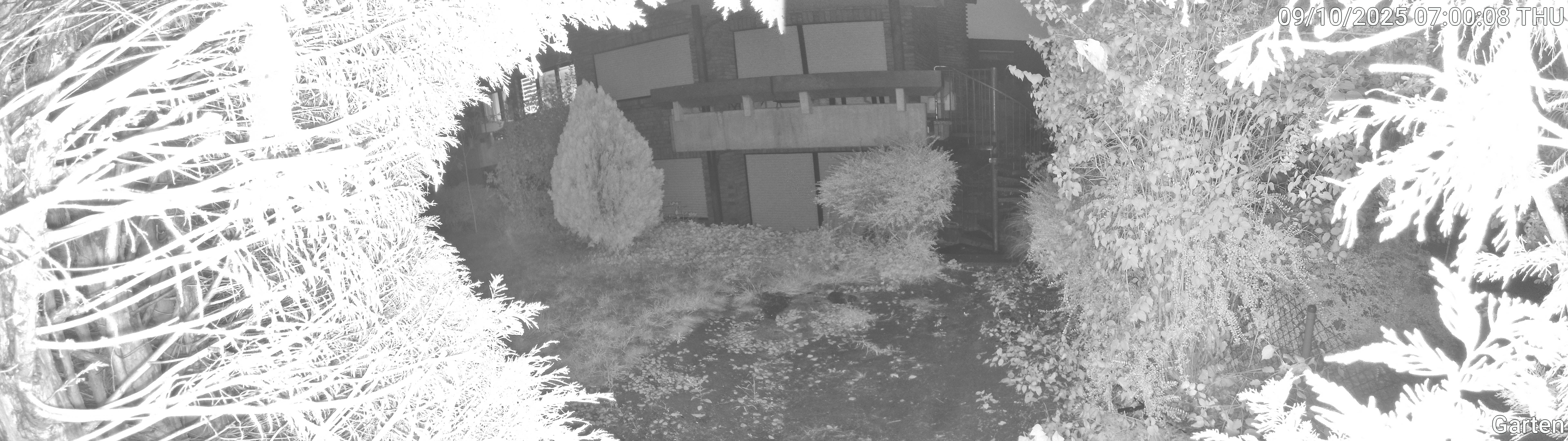 Garten_00_20251009070008.jpg