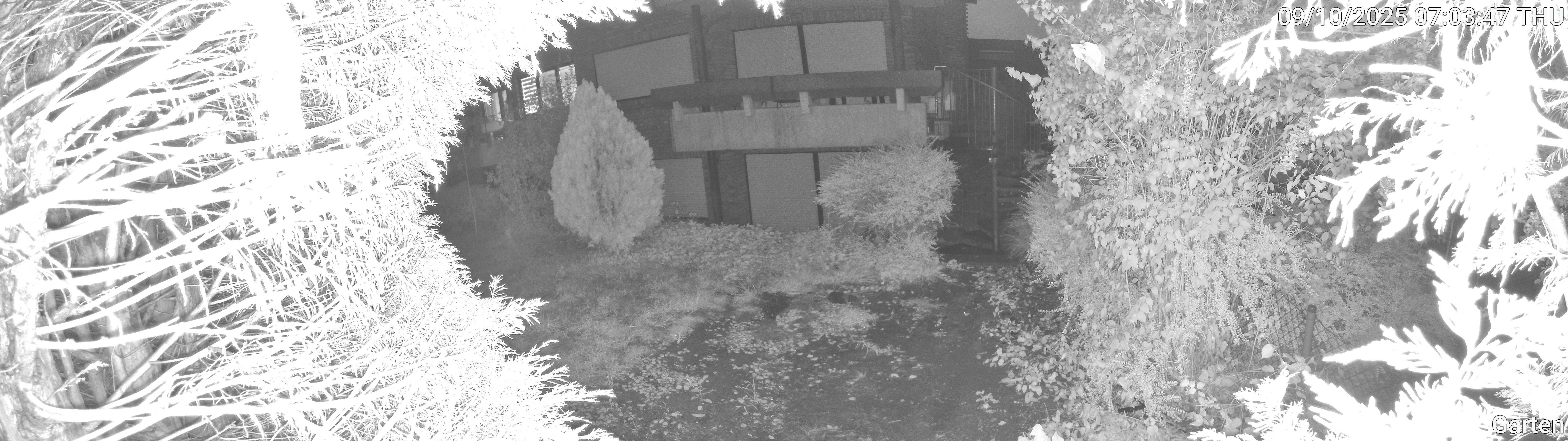 Garten_00_20251009070348.jpg