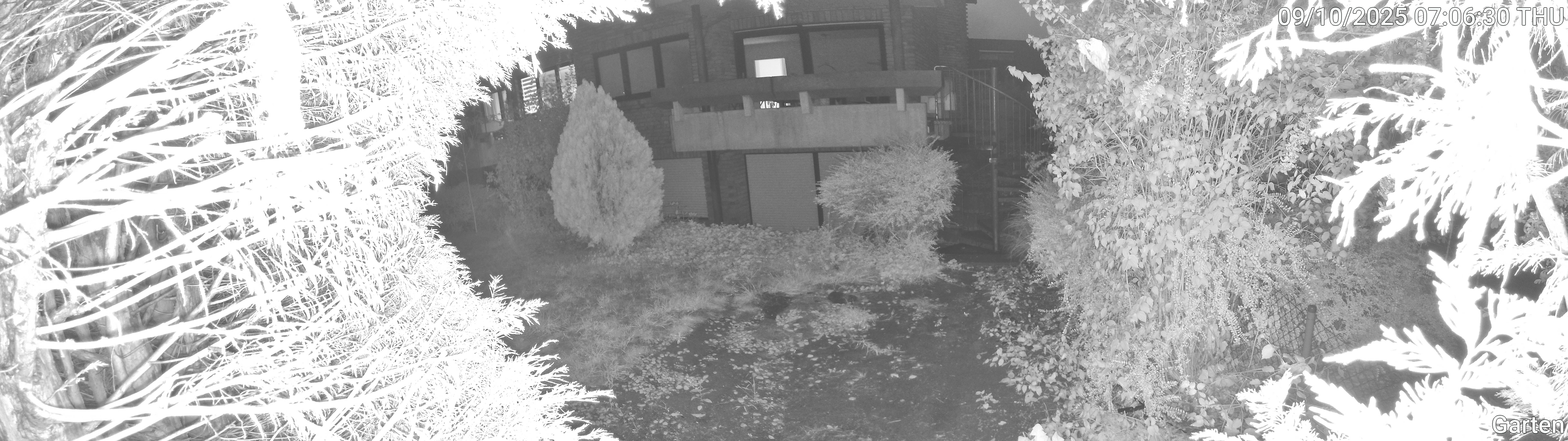 Garten_00_20251009070630.jpg
