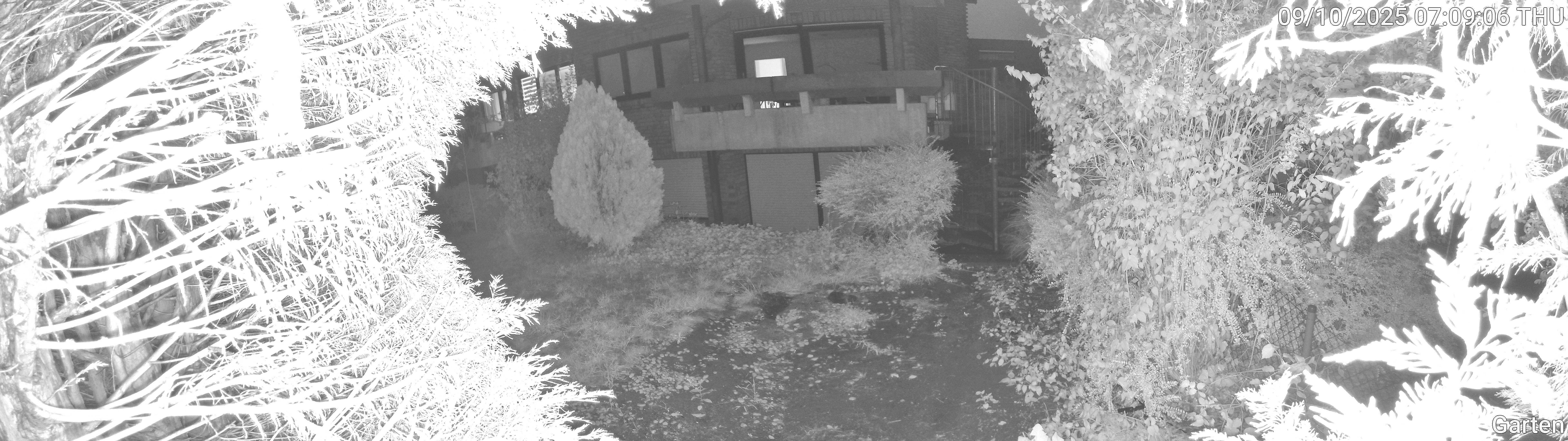 Garten_00_20251009070907.jpg