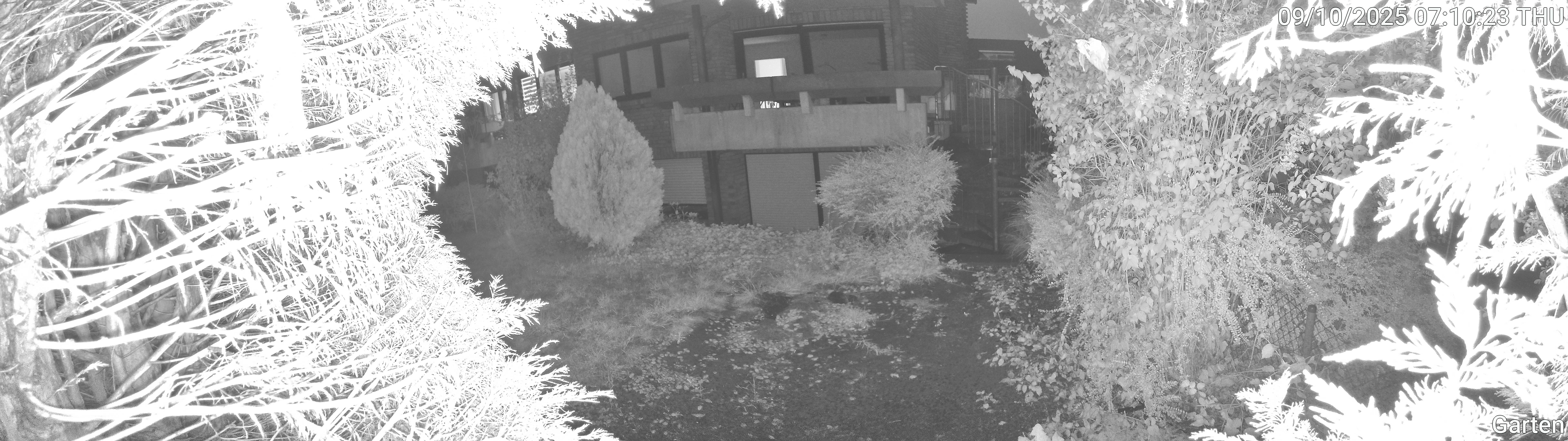 Garten_00_20251009071024.jpg