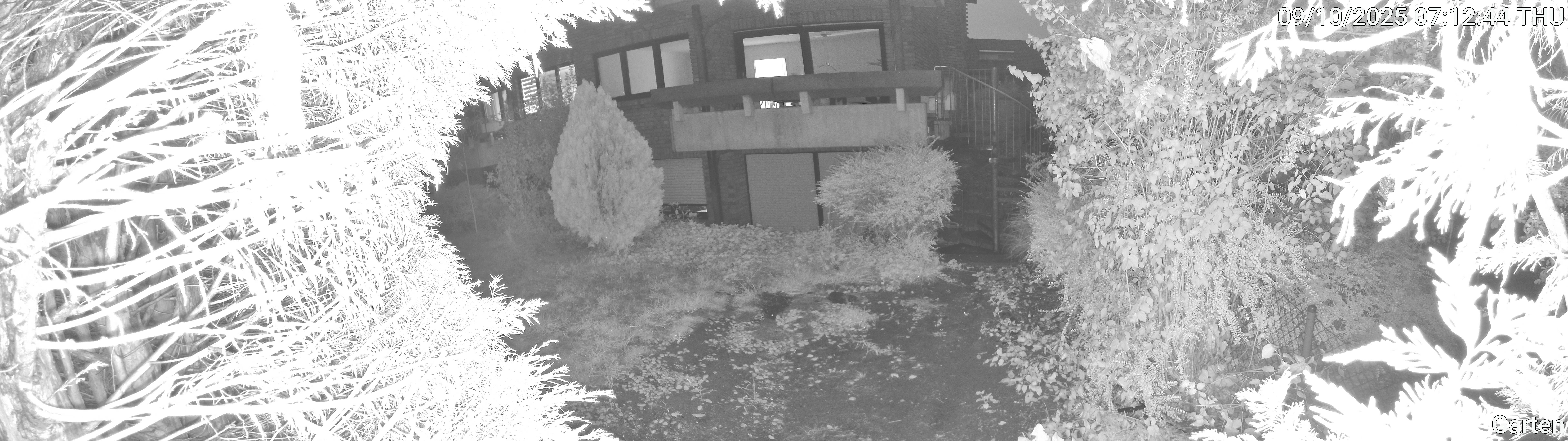 Garten_00_20251009071244.jpg