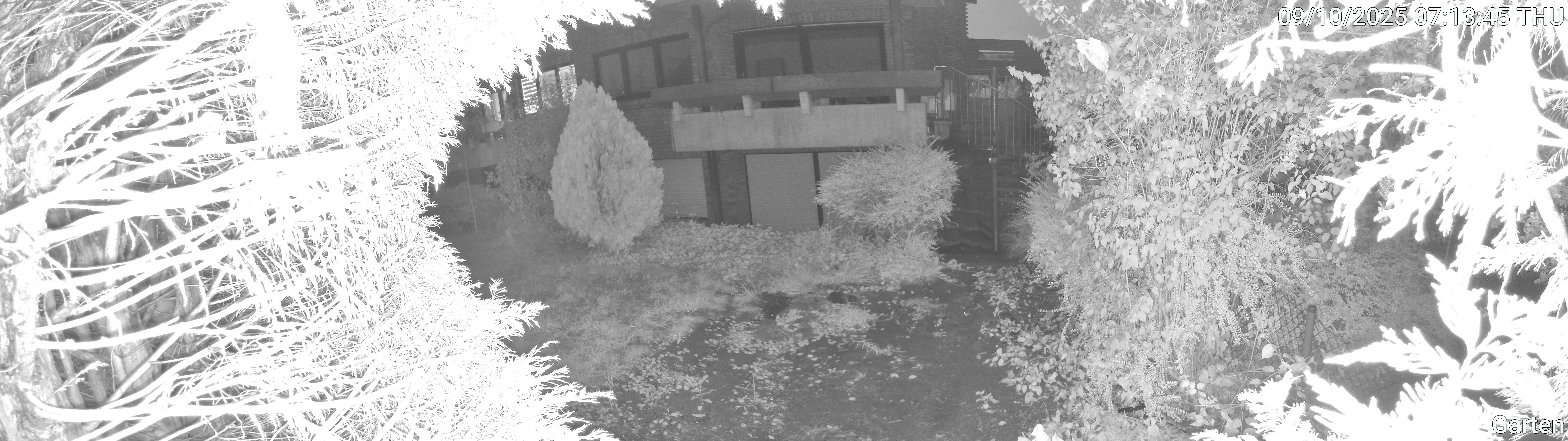 Garten_00_20251009071345.jpg