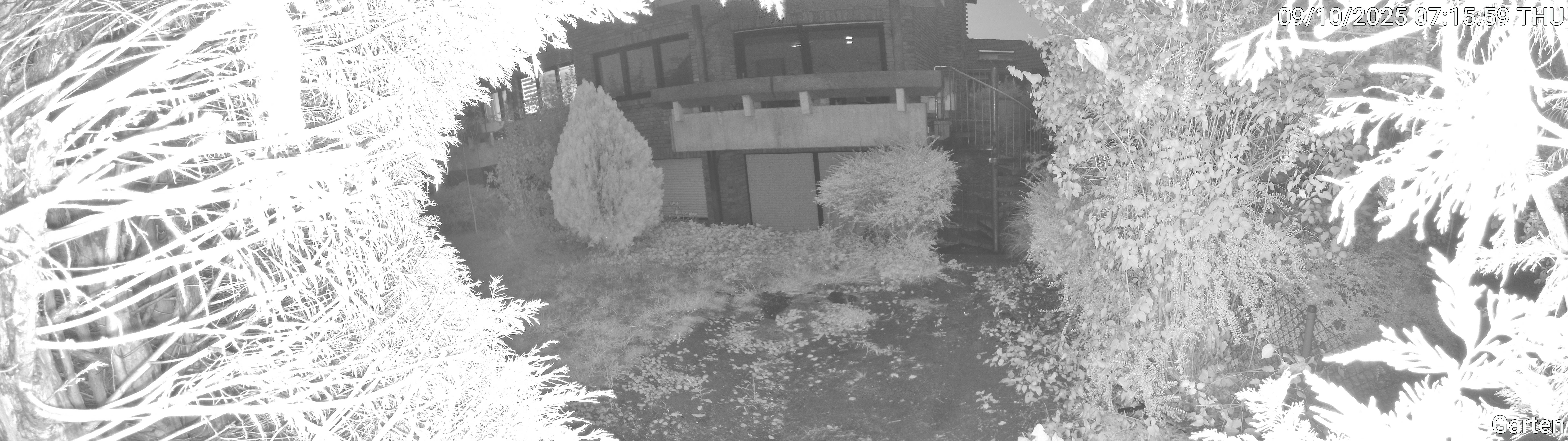 Garten_00_20251009071559.jpg