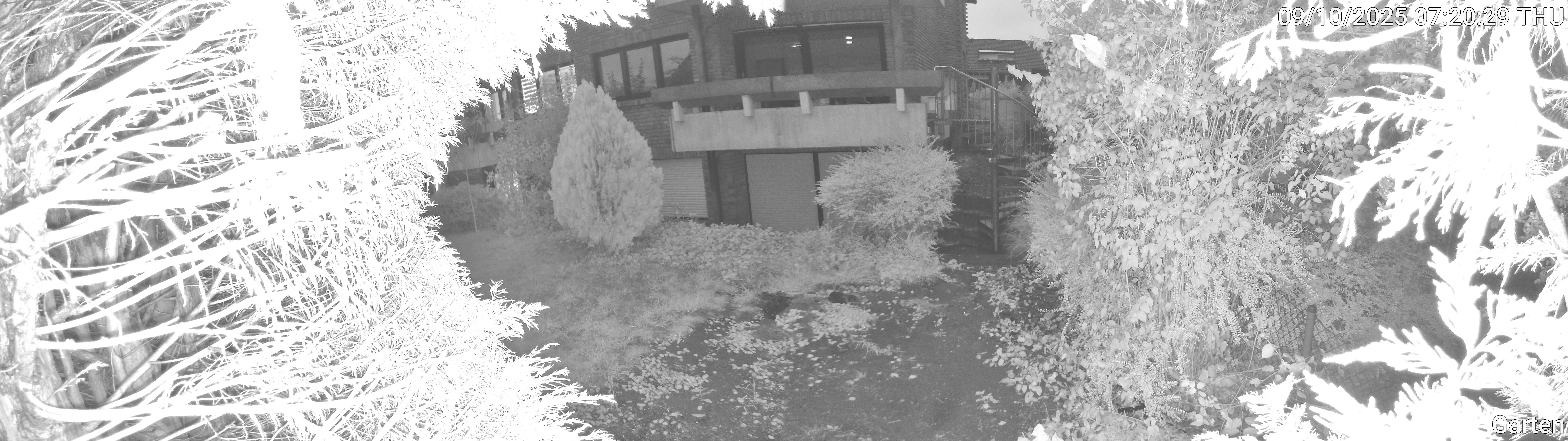 Garten_00_20251009072029.jpg