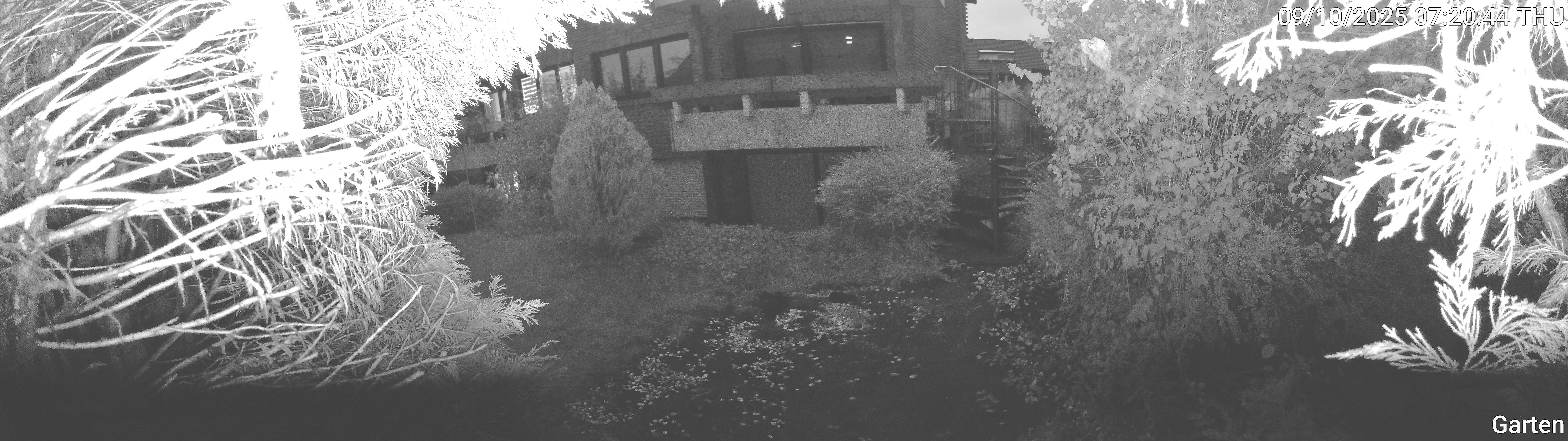 Garten_00_20251009072044.jpg
