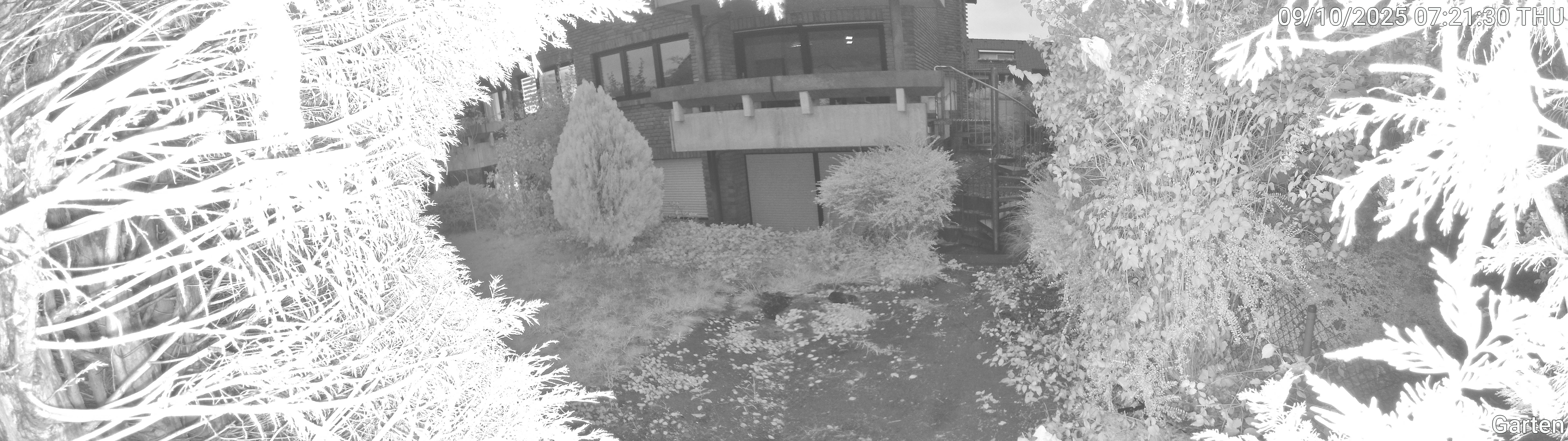 Garten_00_20251009072130.jpg