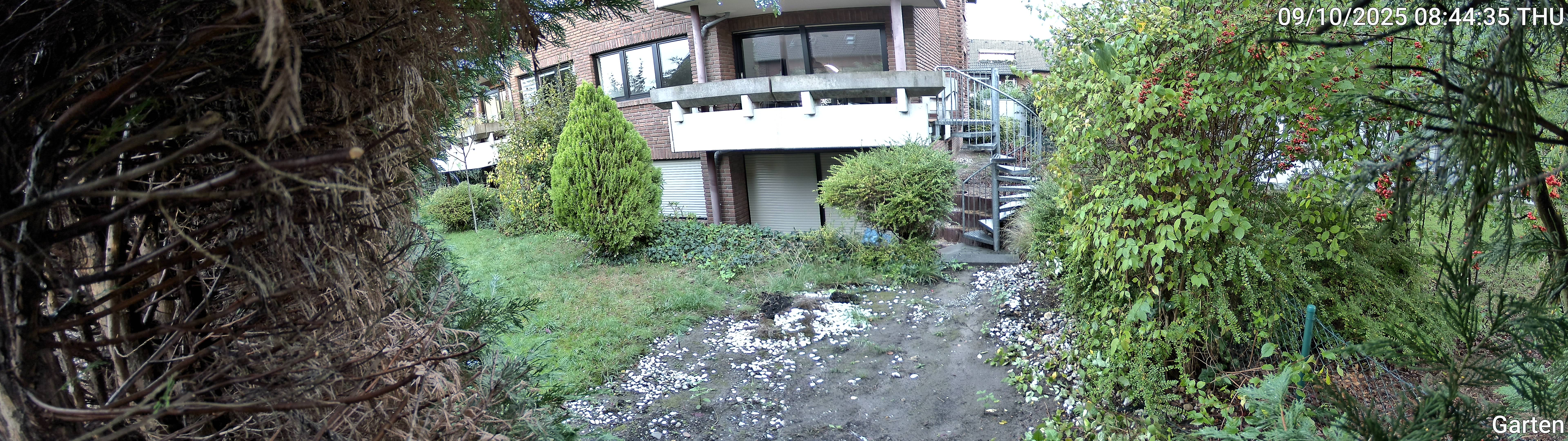 Garten_00_20251009084436.jpg