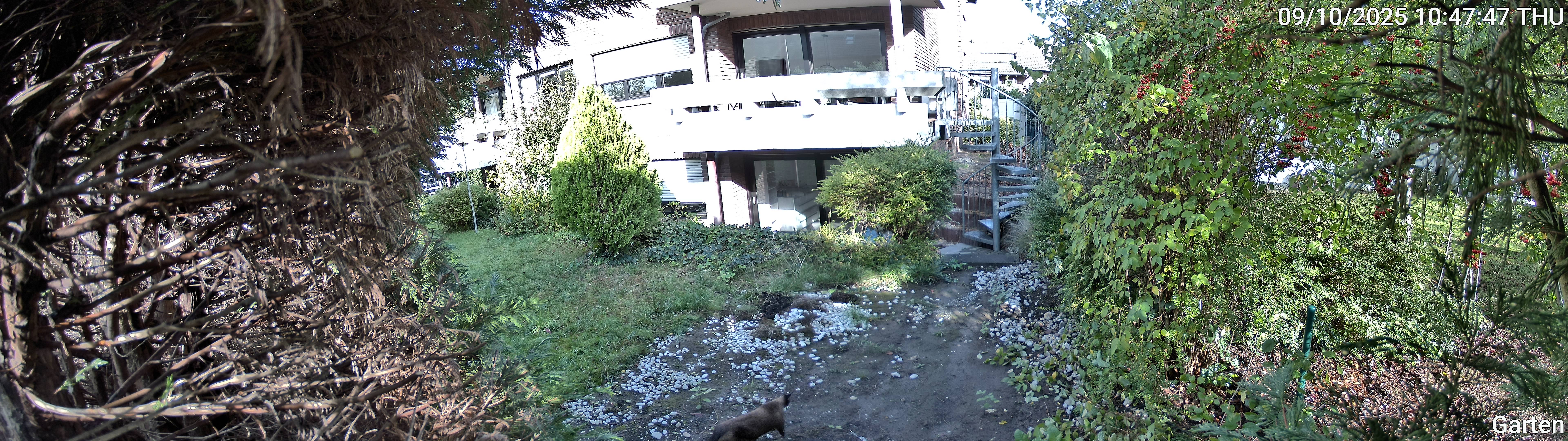 Garten_00_20251009104747.jpg