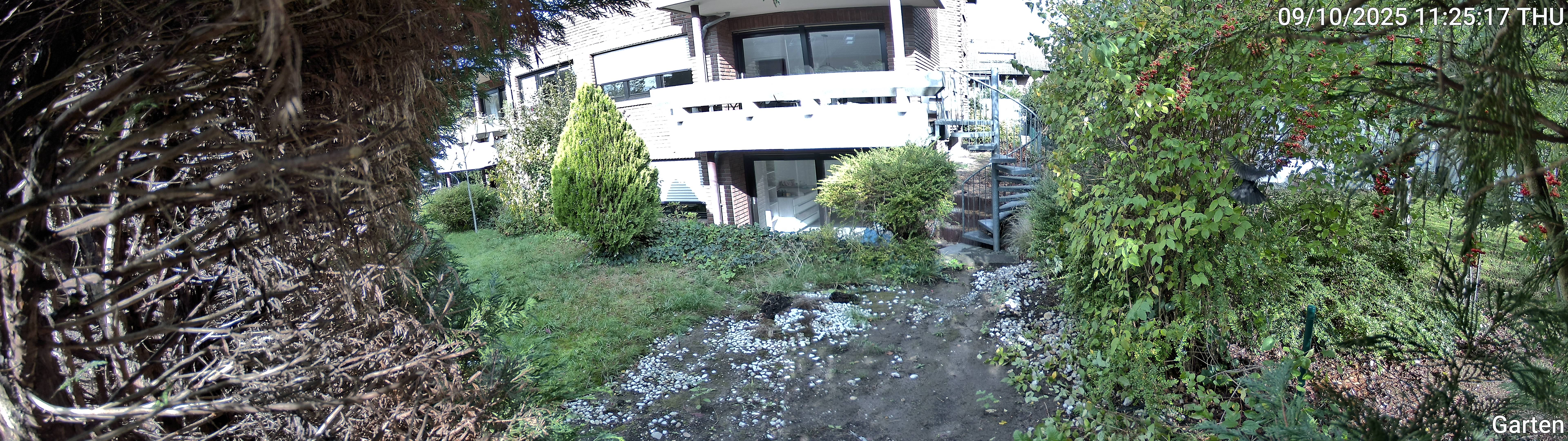 Garten_00_20251009112517.jpg