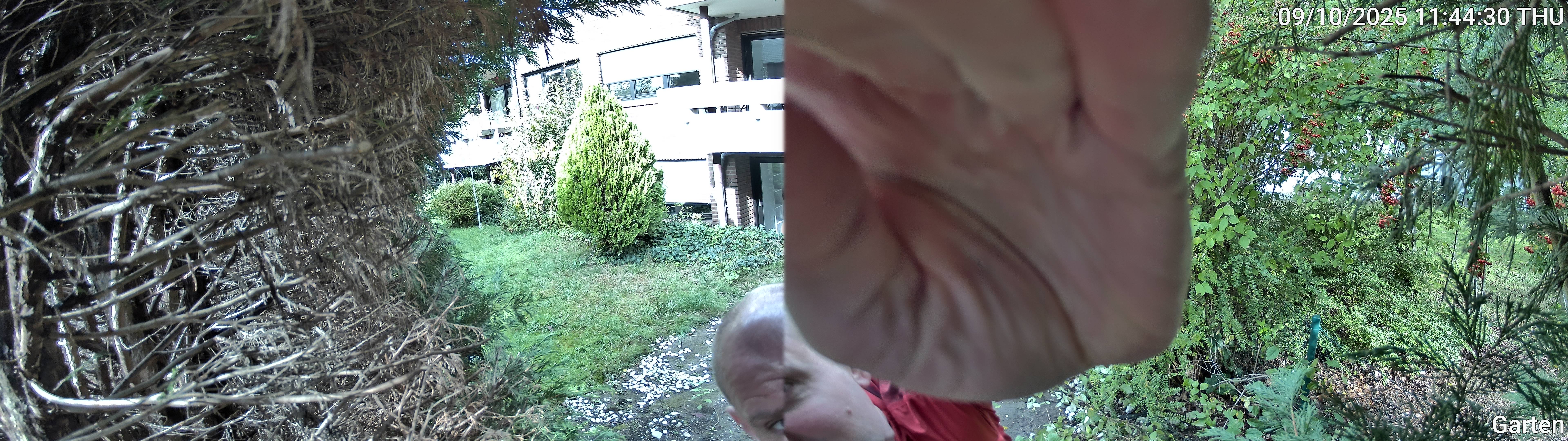 Garten_00_20251009114430.jpg