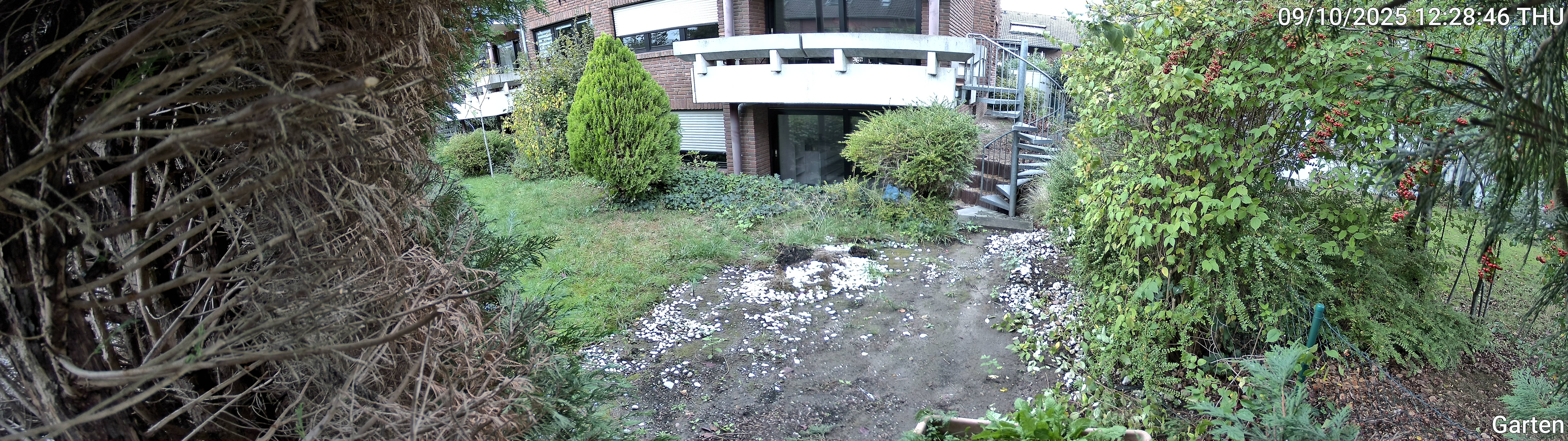 Garten_00_20251009122846.jpg