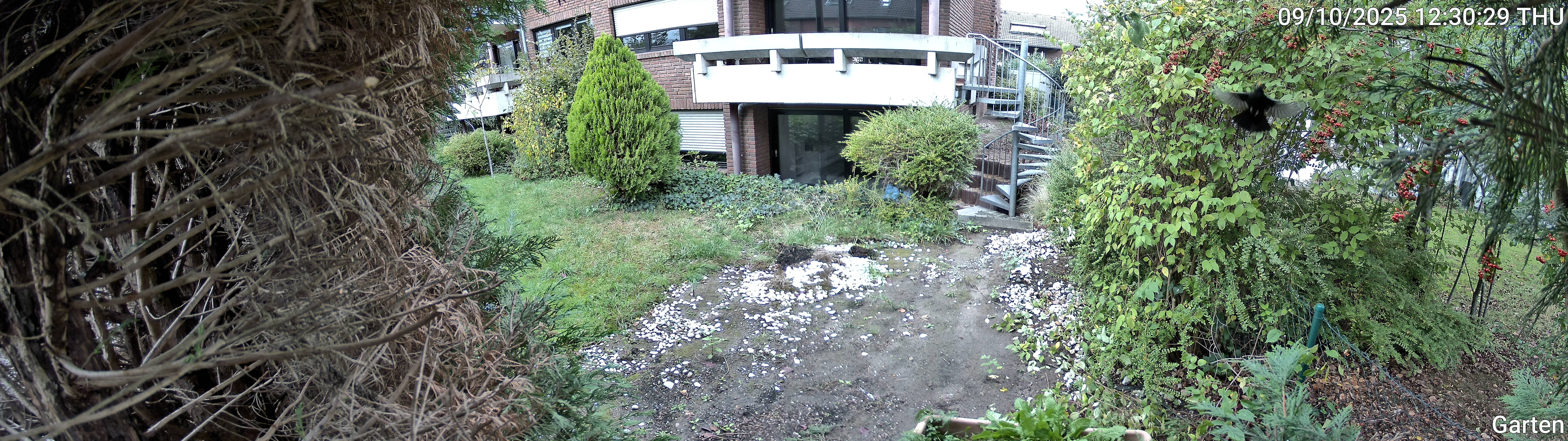 Garten_00_20251009123029.jpg
