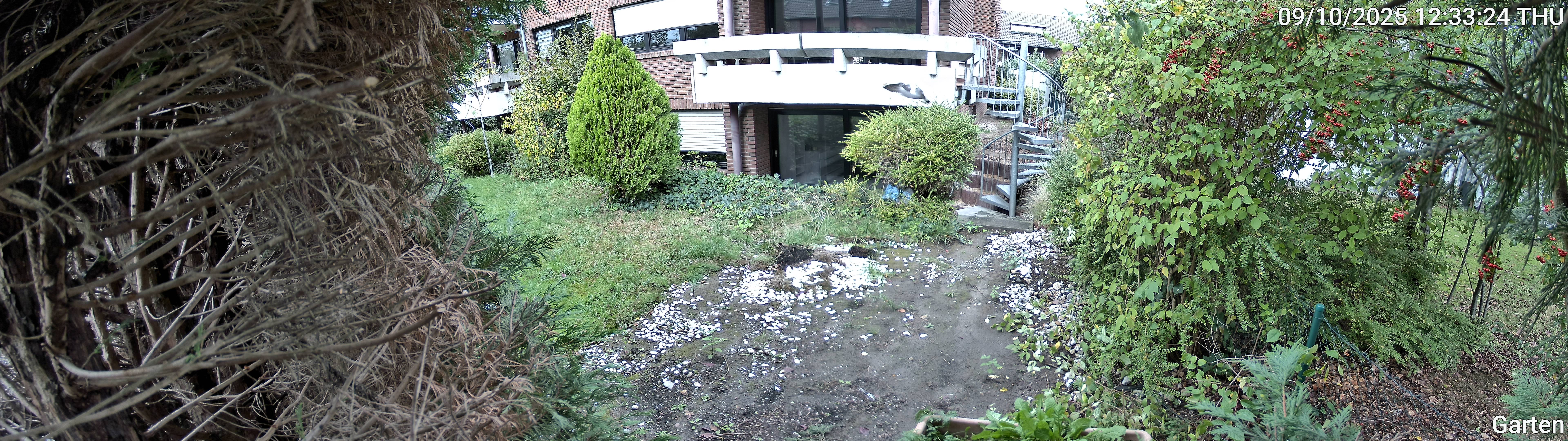 Garten_00_20251009123324.jpg